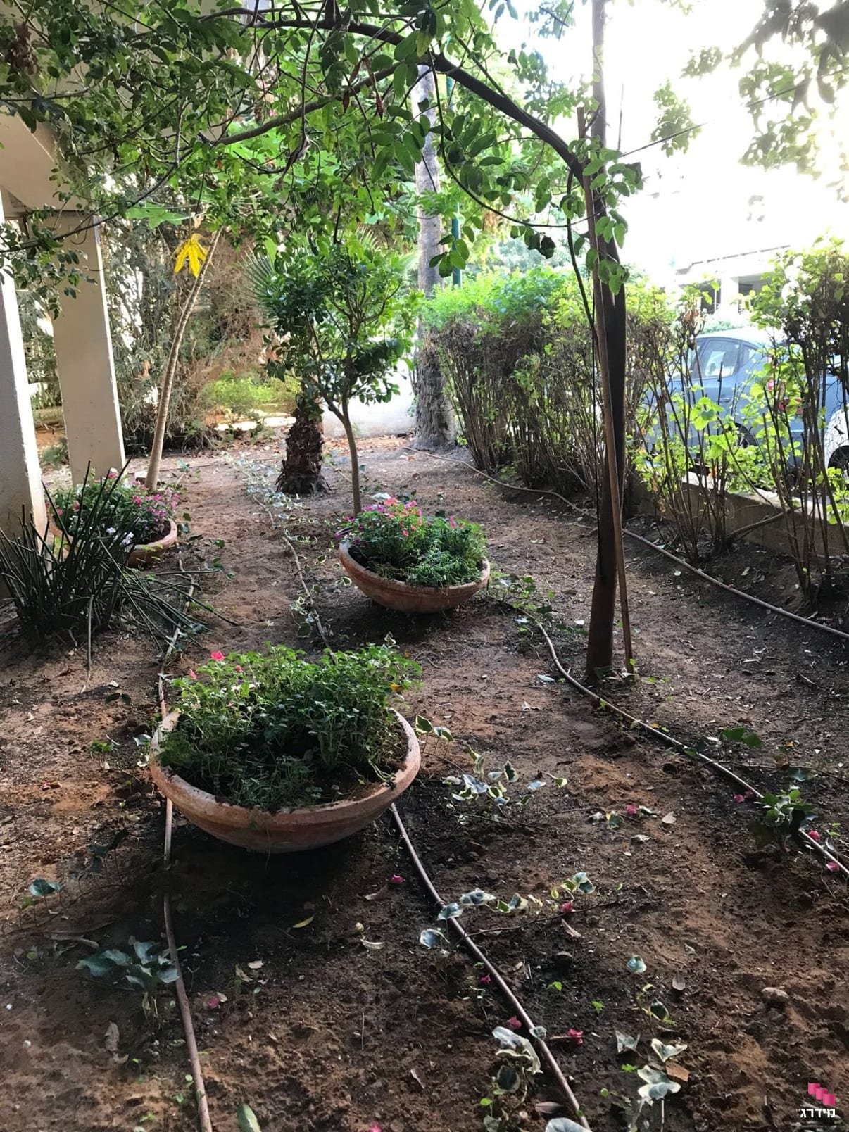 Drip irrigation example